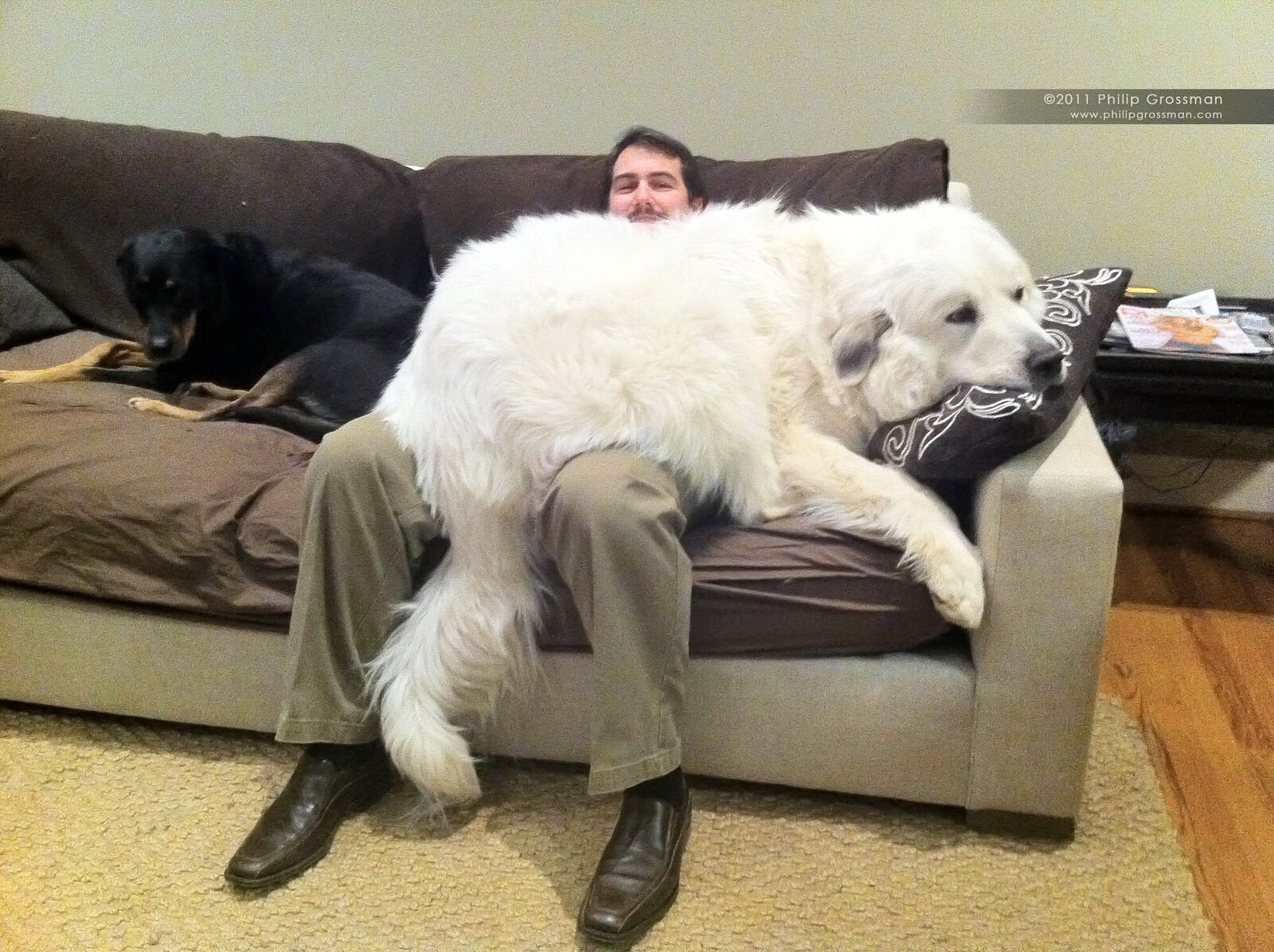 Schultz taking up an entire couch next to a person